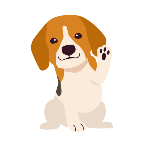 Group dog training classes at Paws in Nature, Wirral